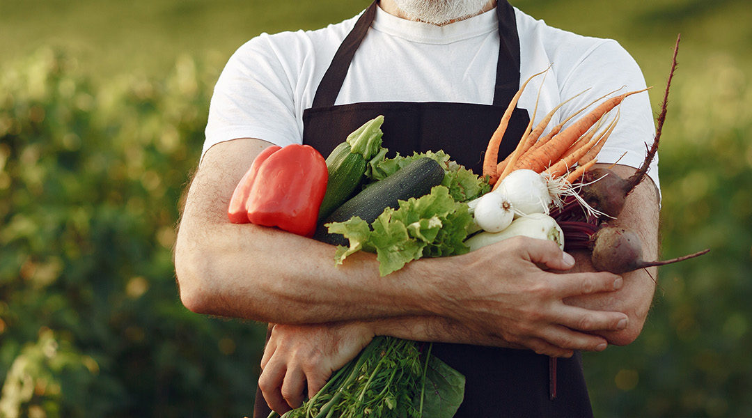 How to Start a Vegetable Garden