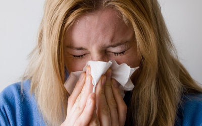 Let’s Clear the Air: A Guide to Beating Spring Allergies